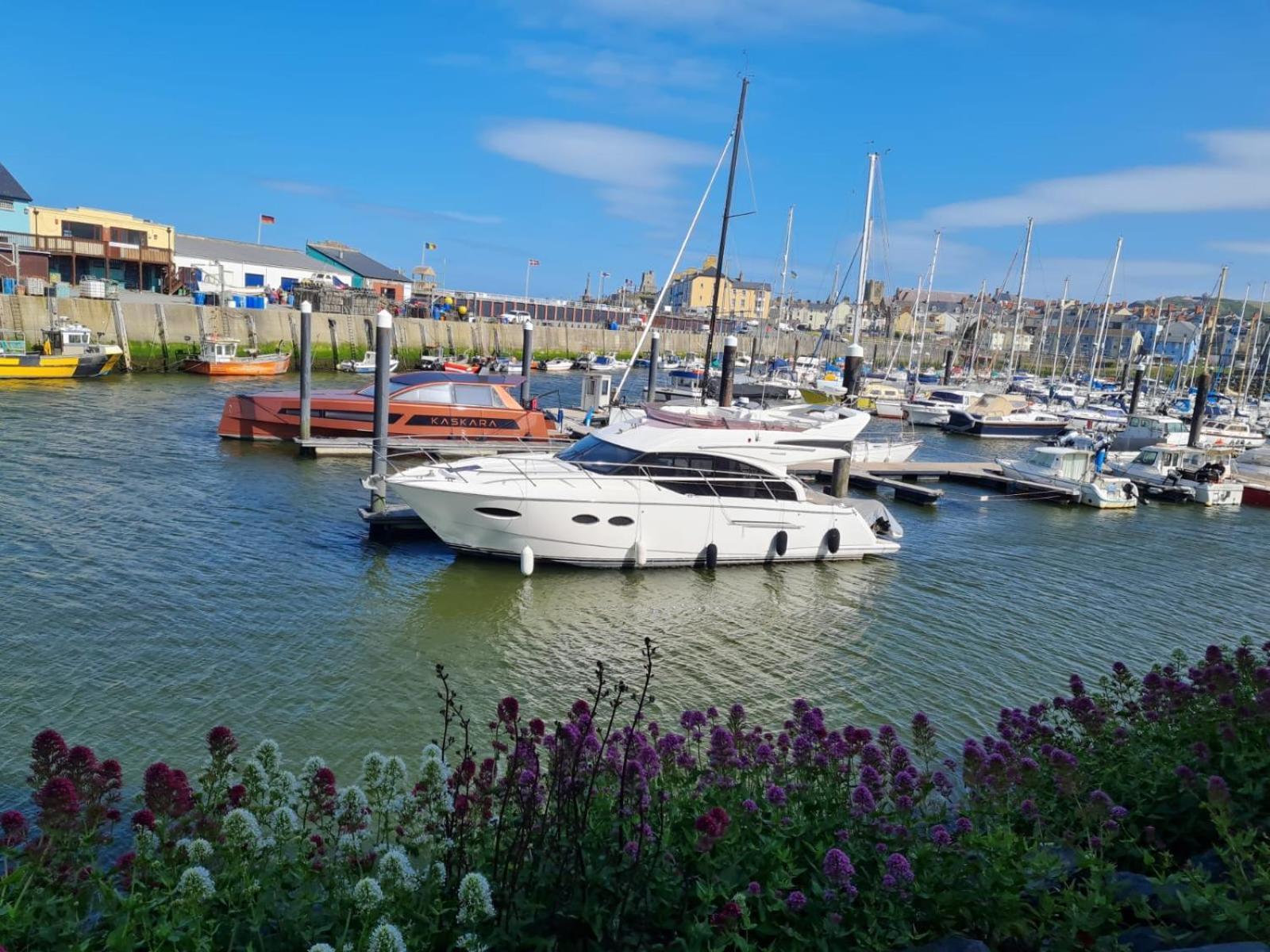 Spacious Luxury Escape With Sea Views And Pet Friendly At Clarach Bay Aberystwyth Exterior photo
